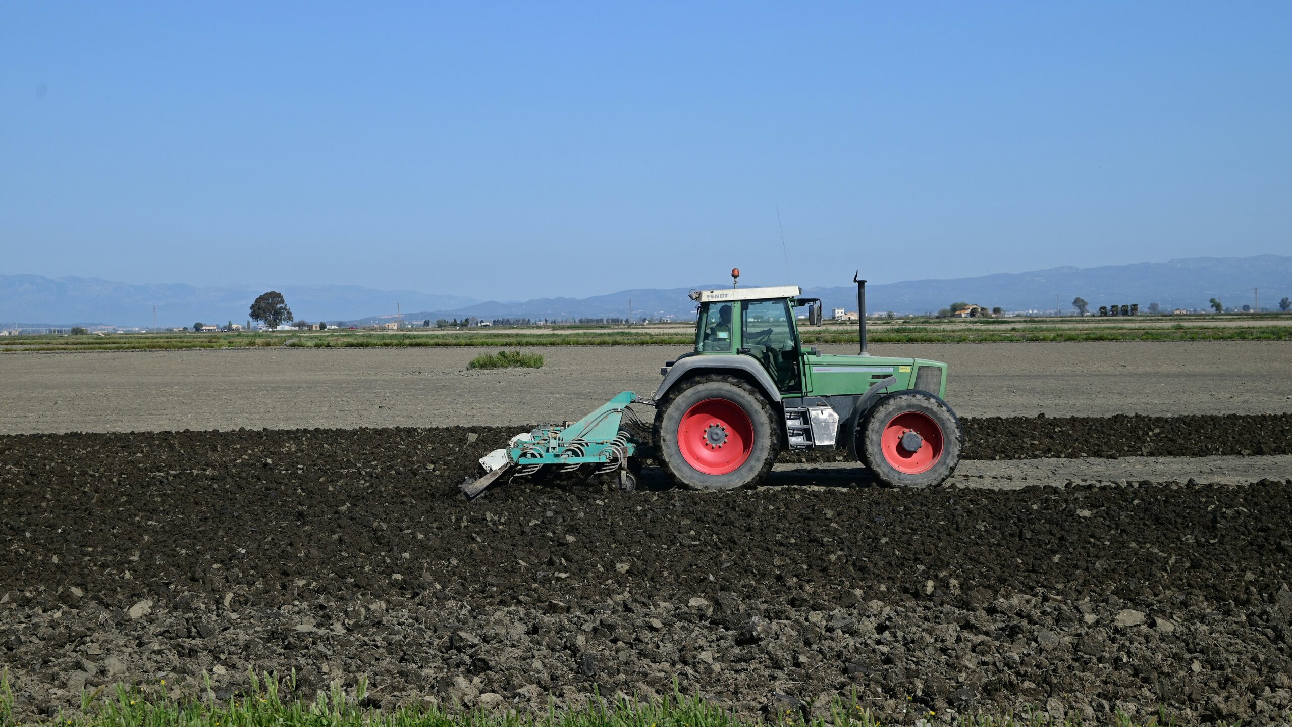 El sector agropecuario mexicano enfrenta estancamiento en 2024, Advierte CIAL