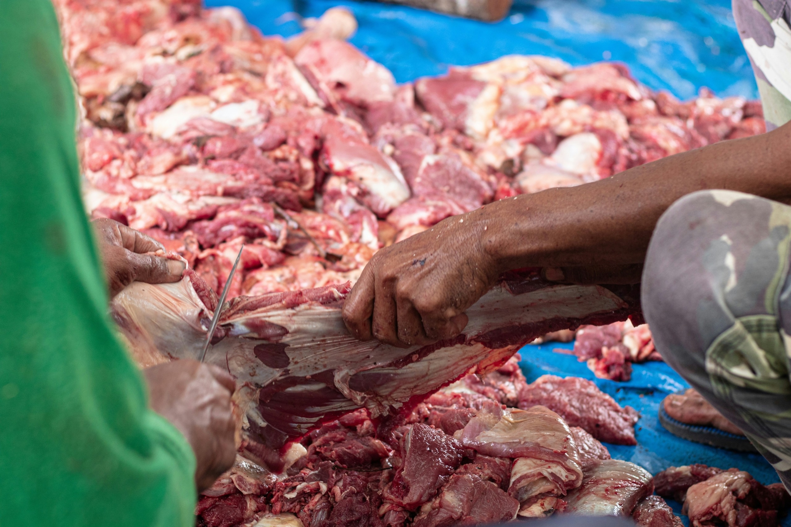 Desmantelan banda dedicada a la venta de carne de ganado enfermo en Antioquia