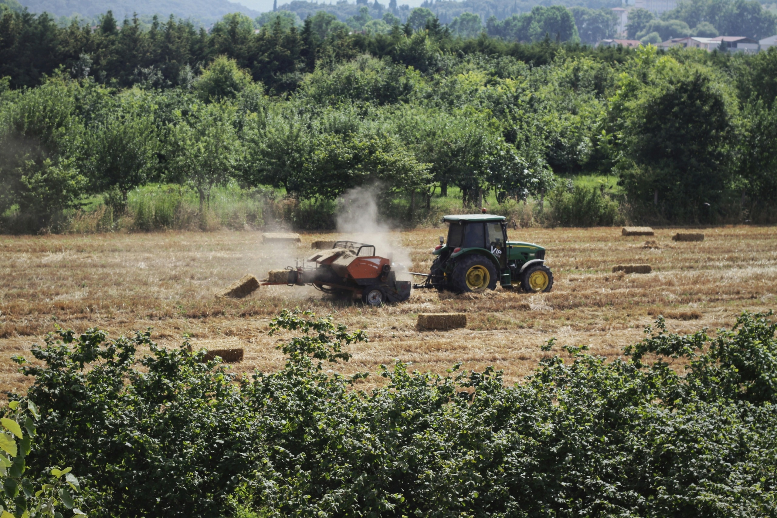 Representantes de organizaciones grícolas, tanto del sector social como privado por parte de la comisión de asuntos agropecuarios